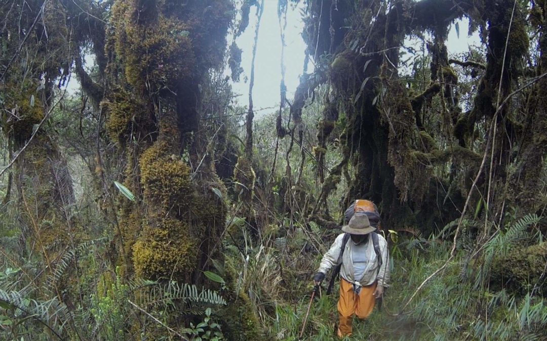 Muestra: 100 años de cine ecuatoriano: Llanganati