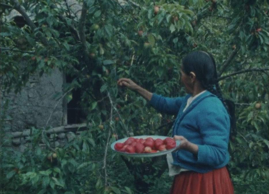 Cine, memoria e historia: Tiempo de mujeres