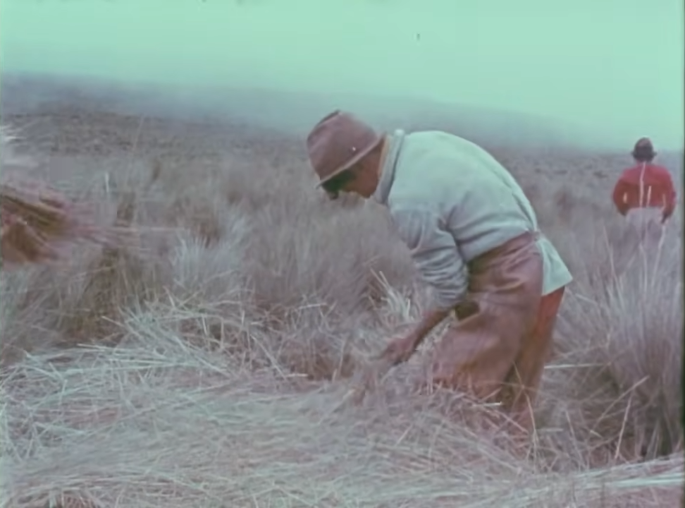 Los hieleros del Chimborazo, Ecuador, 1980