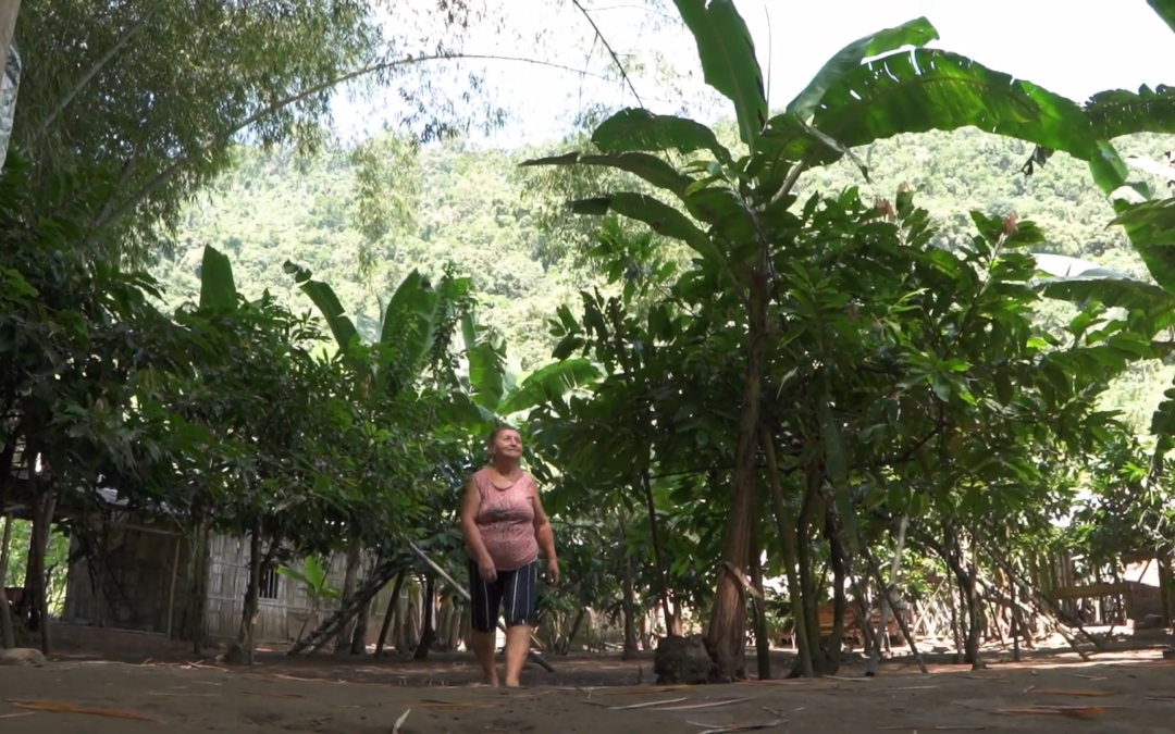 Cine por el Día Mundial del Agua: La Huella del Agua + La vida de un río
