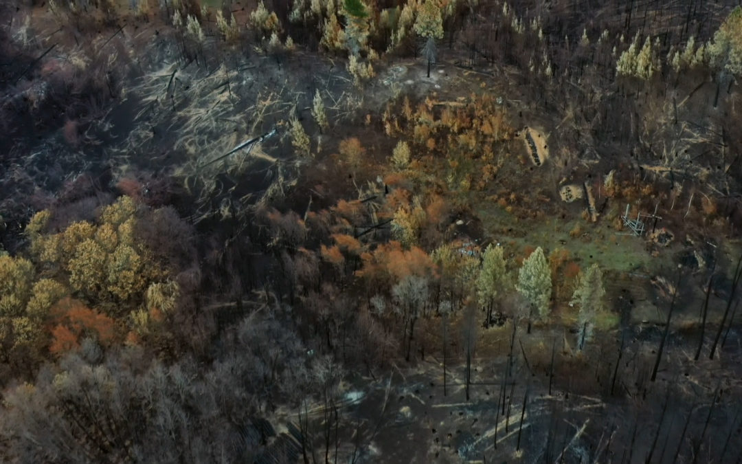 Festival ECOador: Laguna negra + Tormenta de fuego