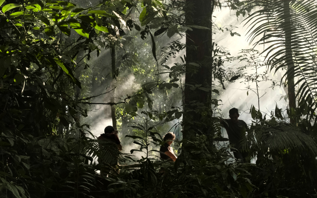 Festival ECOador: Enraizados + Las escamas de la selva