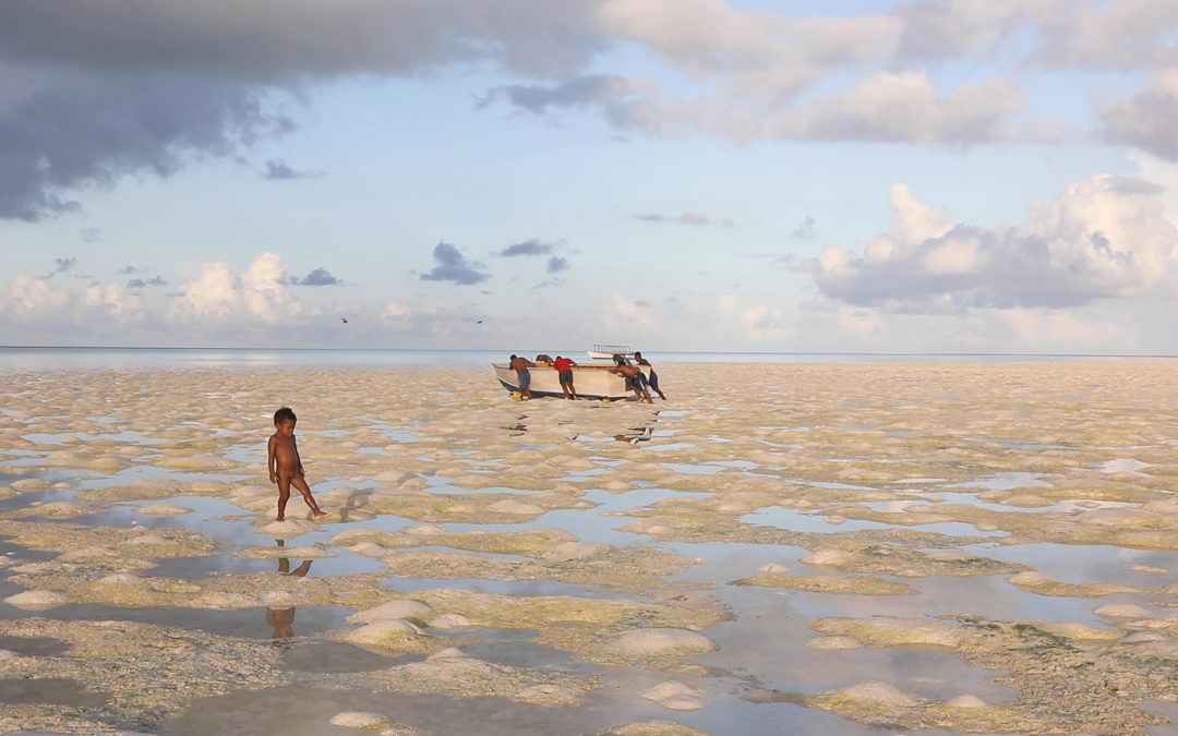 Festival ECOador: Oceania: Viaje al Centro