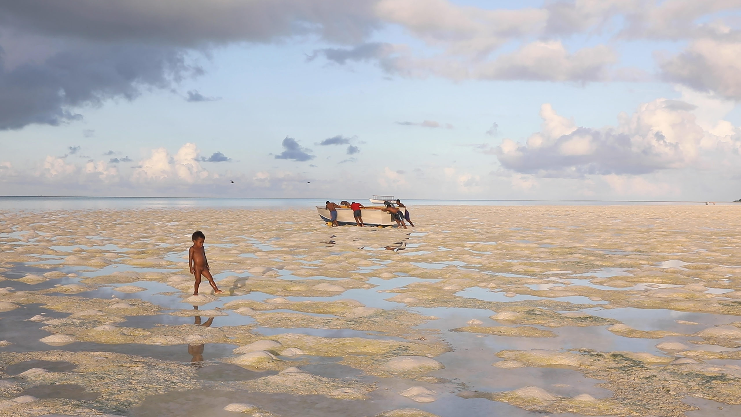 Oceania, viaje al centro, Estados Unidos, 2024