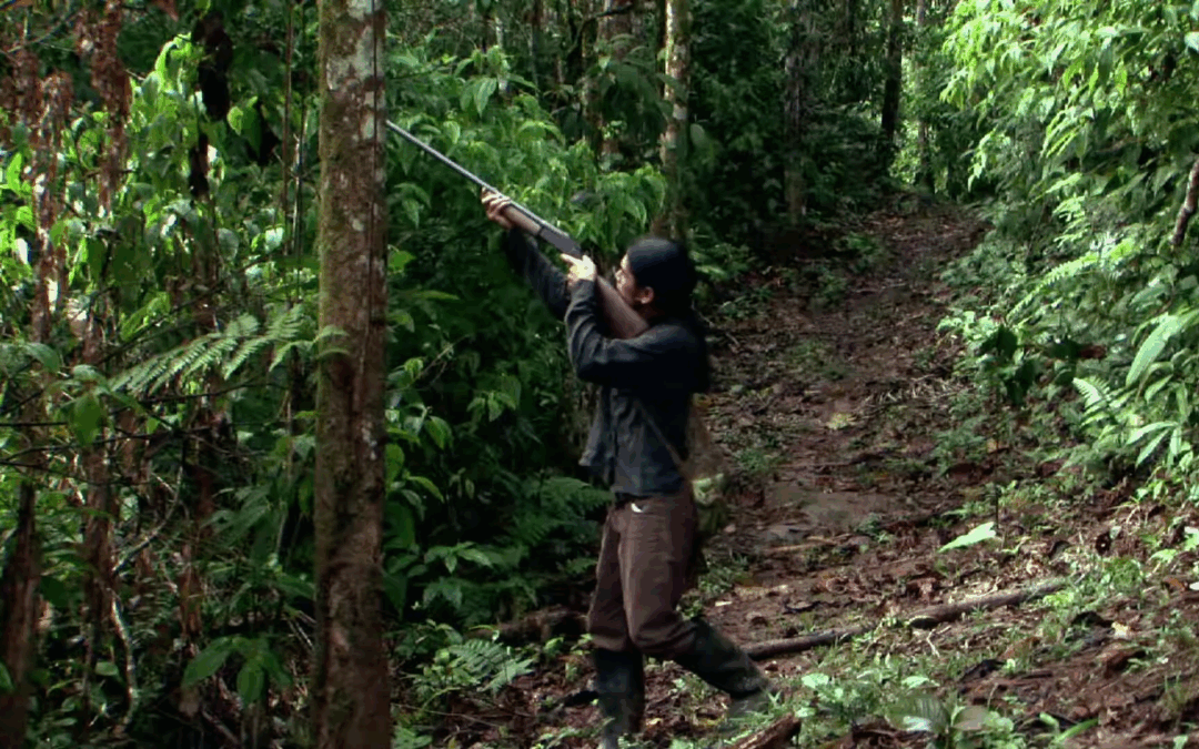 Muestra Eriberto Gualinga: Cortos 1: Los Descendientes del Jaguar + Soy Defensor de la Selva