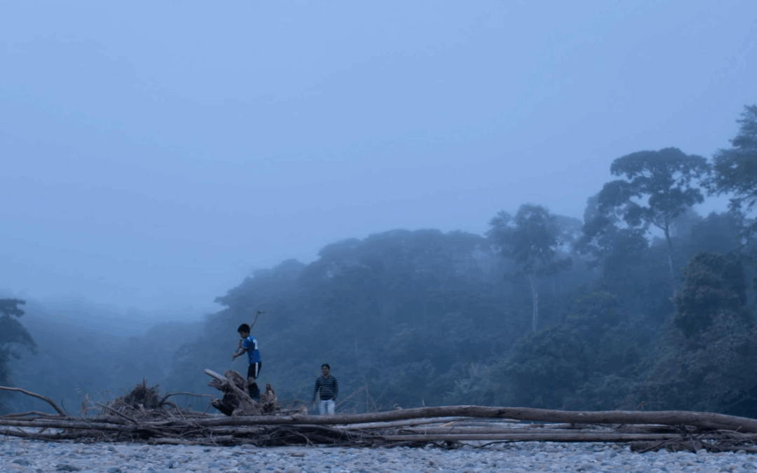 Muestra Eriberto Gualinga: Cortos 2: The Return + Kawsak Sacha: La Canoa de la Vida