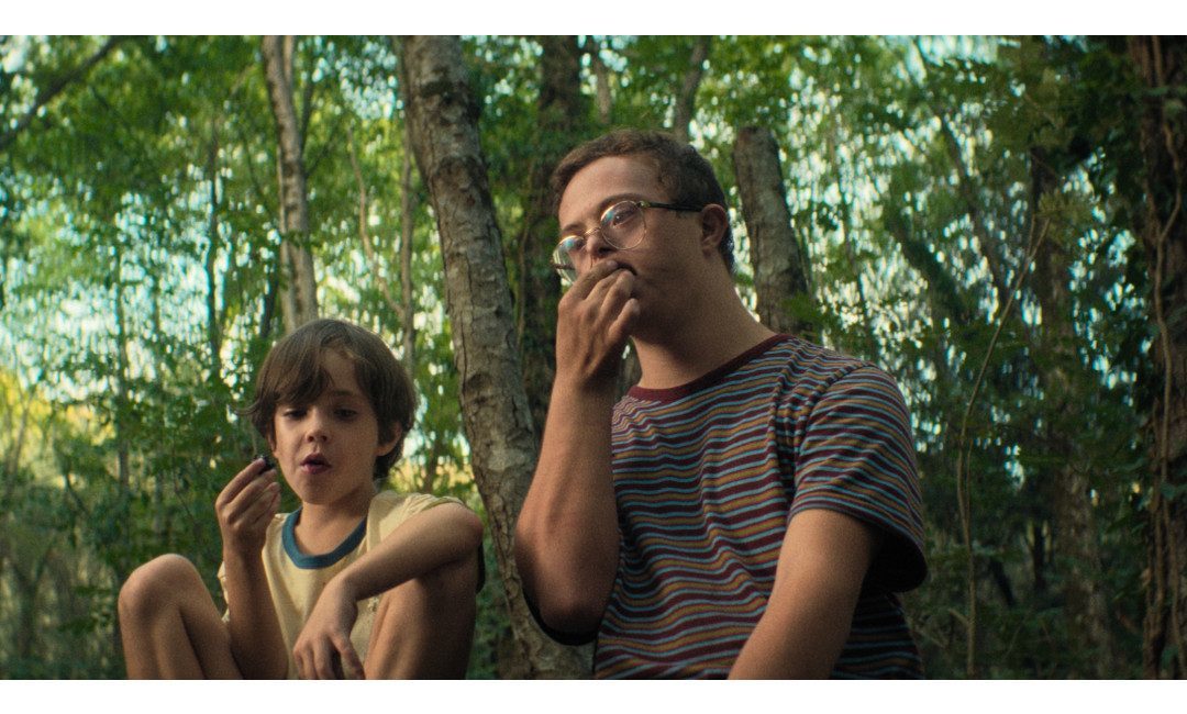 XVIII Muestra de Cine Catalán de Quito: Cortometrajes del Festival FOC