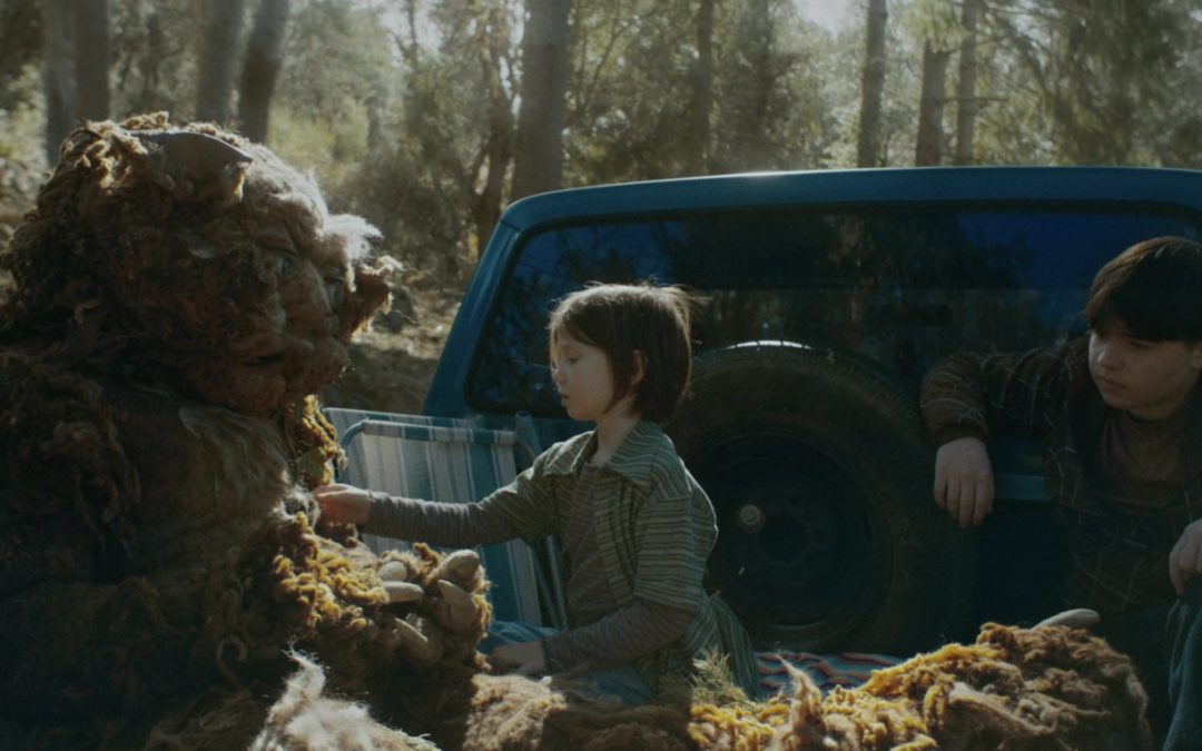 XVIII Muestra de Cine Catalán de Quito: Cortometrajes del Festival FOC